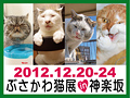 2012ぶさかわ猫展バナー.jpg